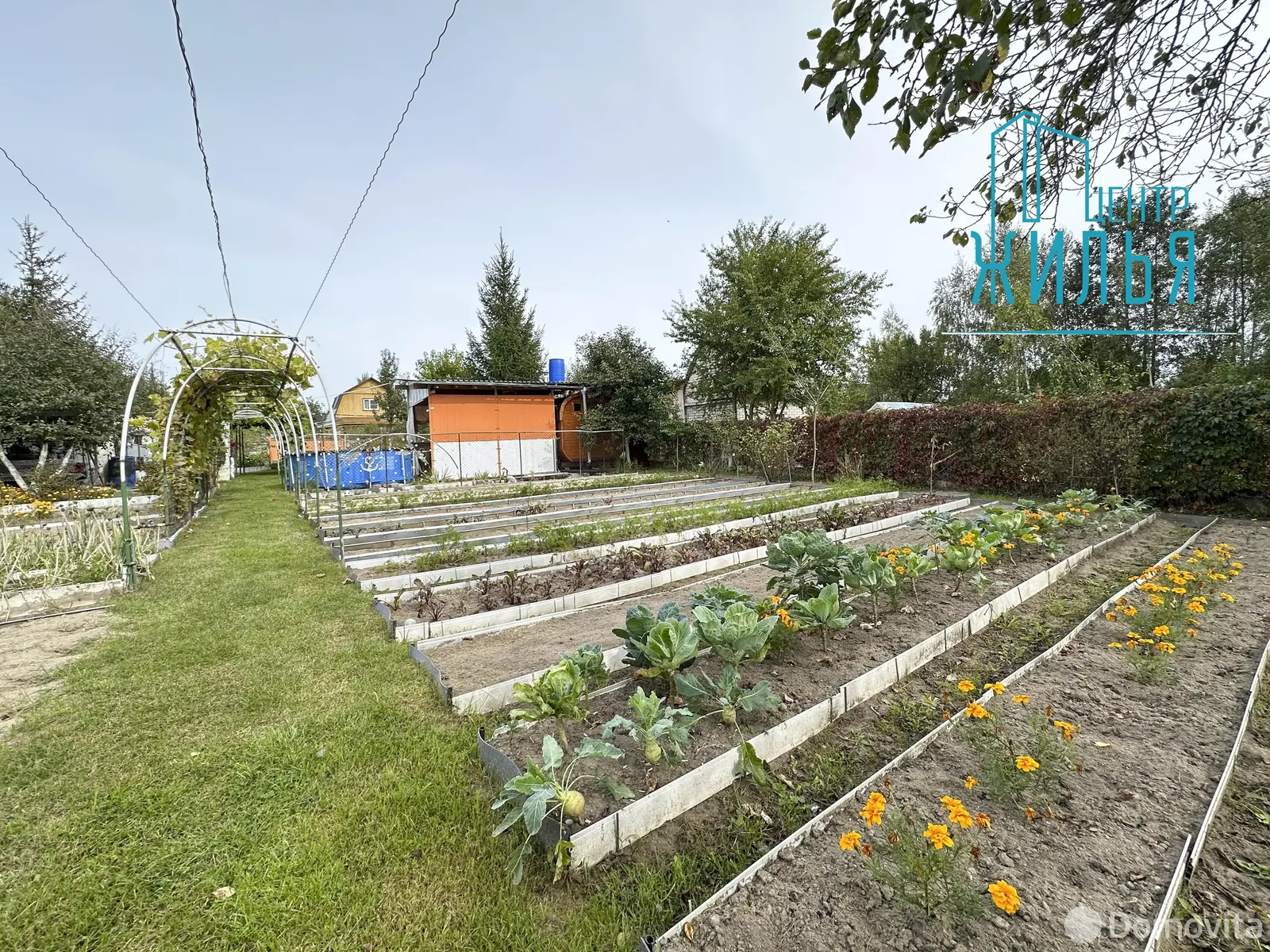 Продажа 1-этажной дачи в Крушина Гродненская область, 60000BYN, код 184247 - фото 16