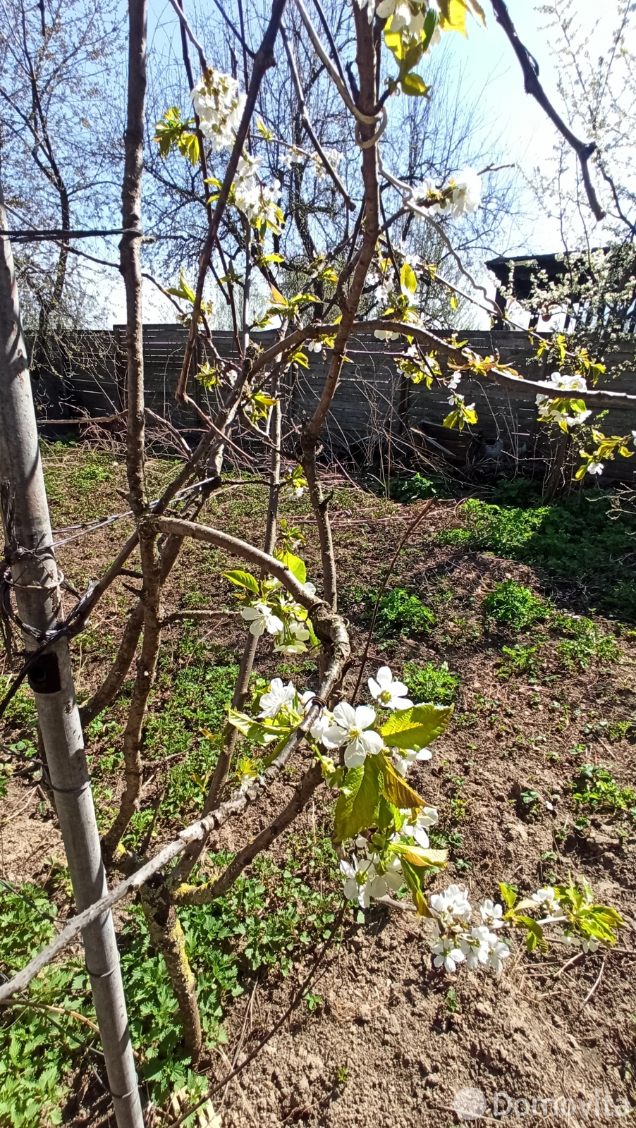 коттедж, Лучин, 