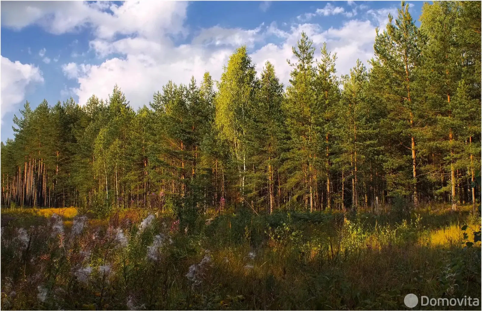 участок, Проварное, ул. Центральная 