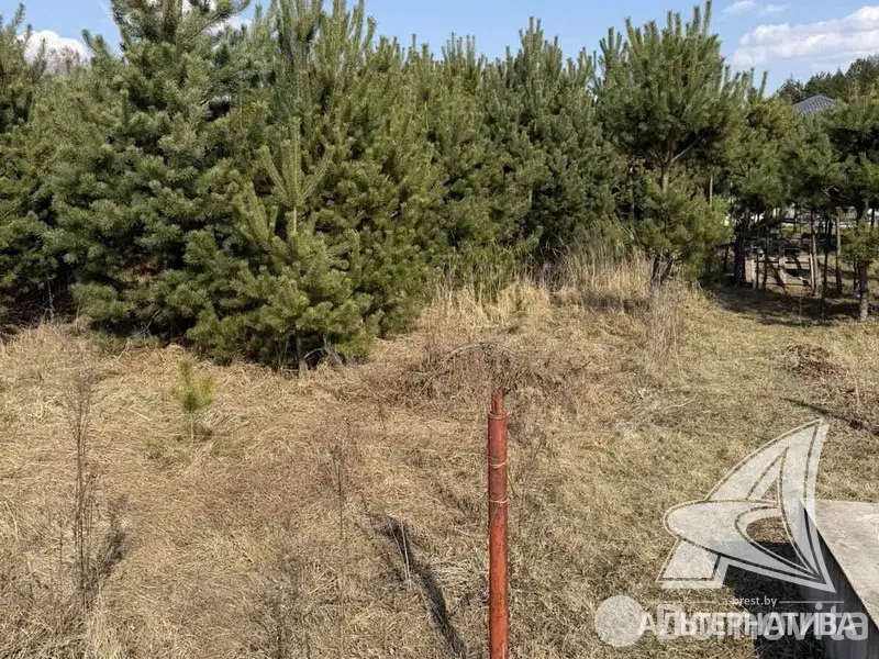 коттедж, Жабинка, 