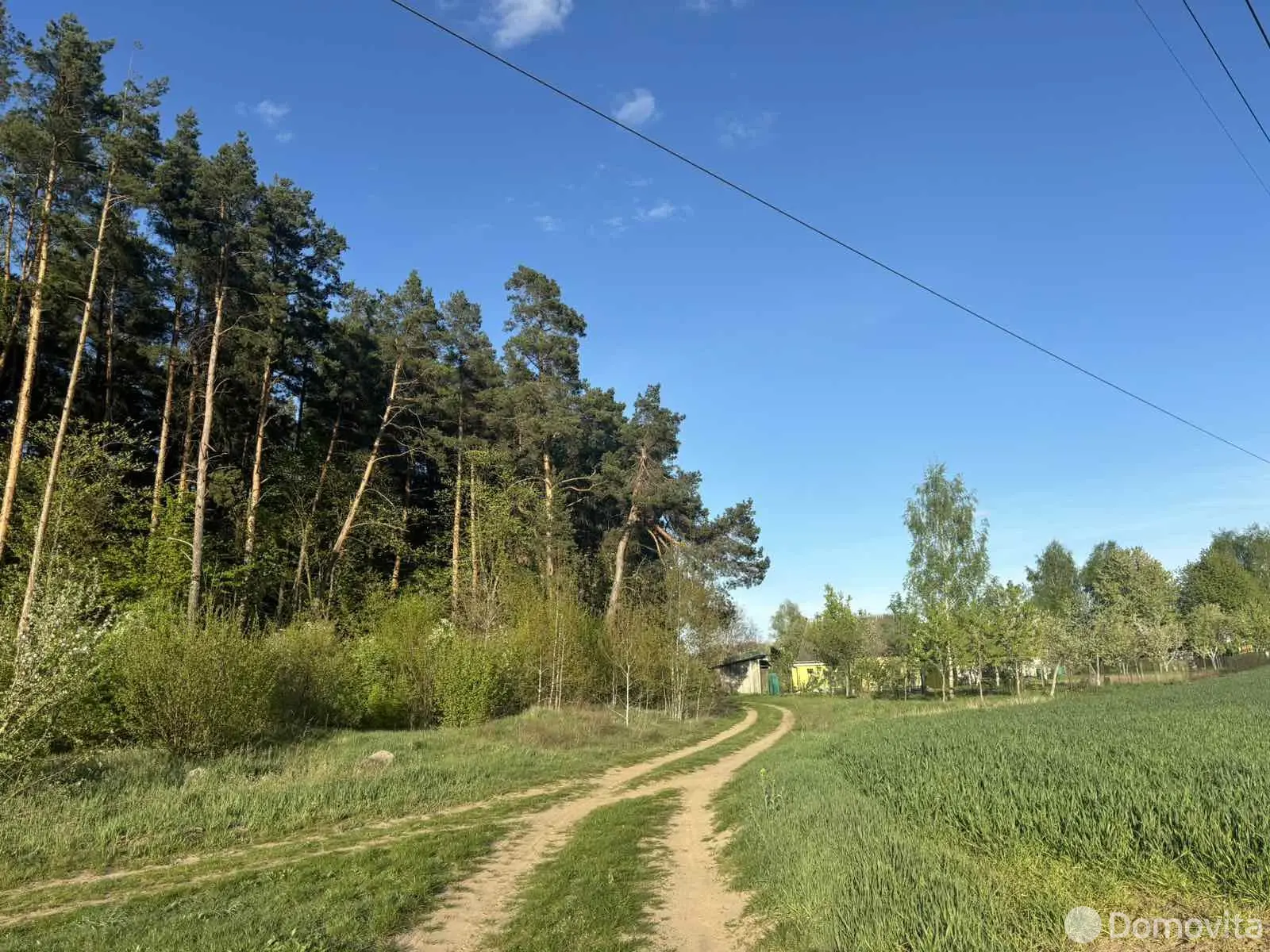 Купить 1-этажную дачу в Принеманское-1 Гродненская область, 50000USD, код 184653 - фото 13