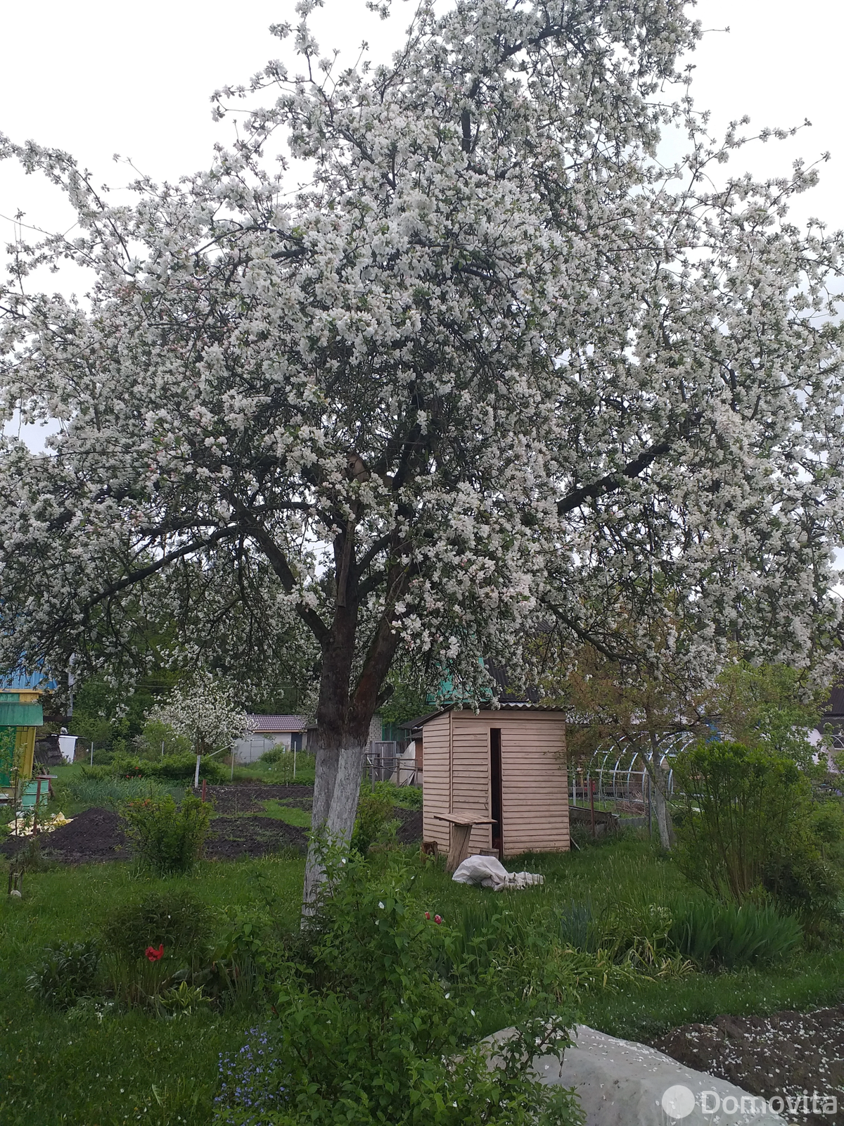 Продажа 2-этажной дачи в Калюжках Минская область, 10000USD, код 184665 - фото 11