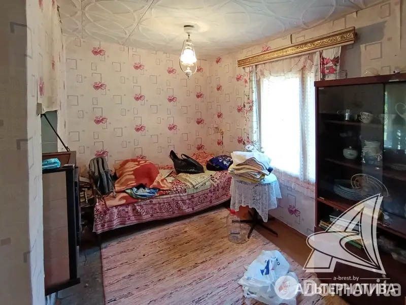 дача, Сигнал-2009, 