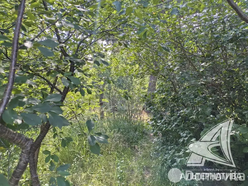 Купить 2-этажную дачу в Бресте Брестская область, 117600BYN, код 186250 - фото 38