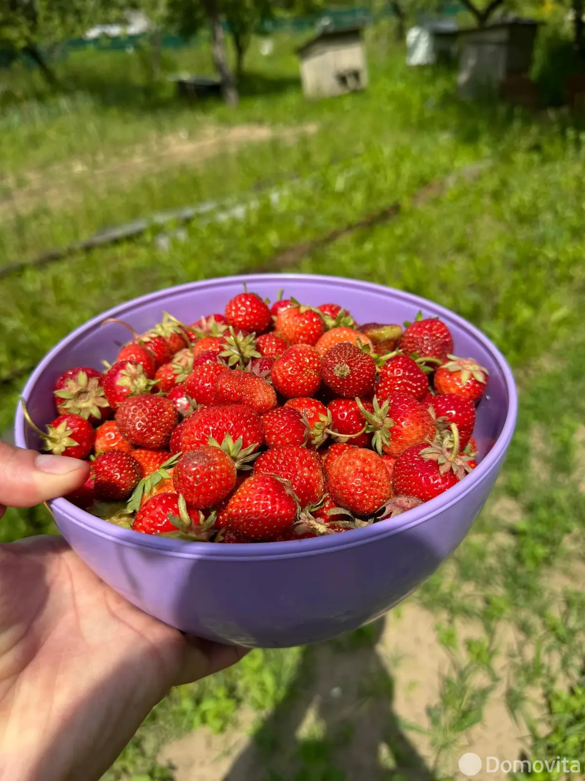 купить дом, Долгое, д. 3А