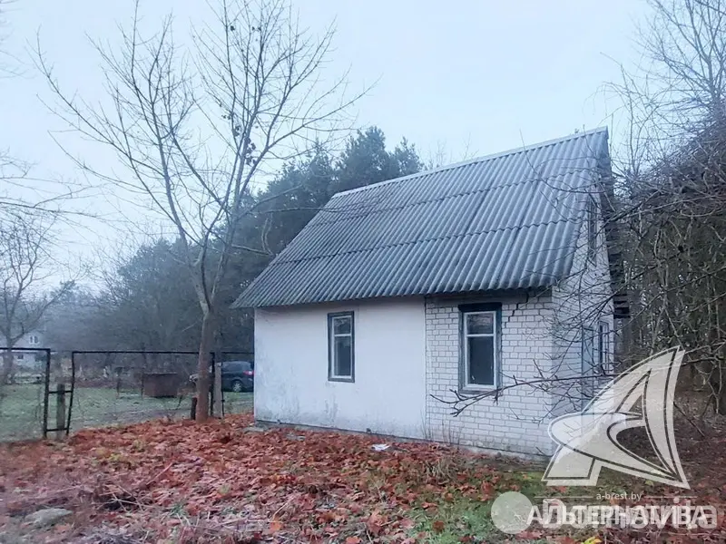 дача, Лесная поляна, 