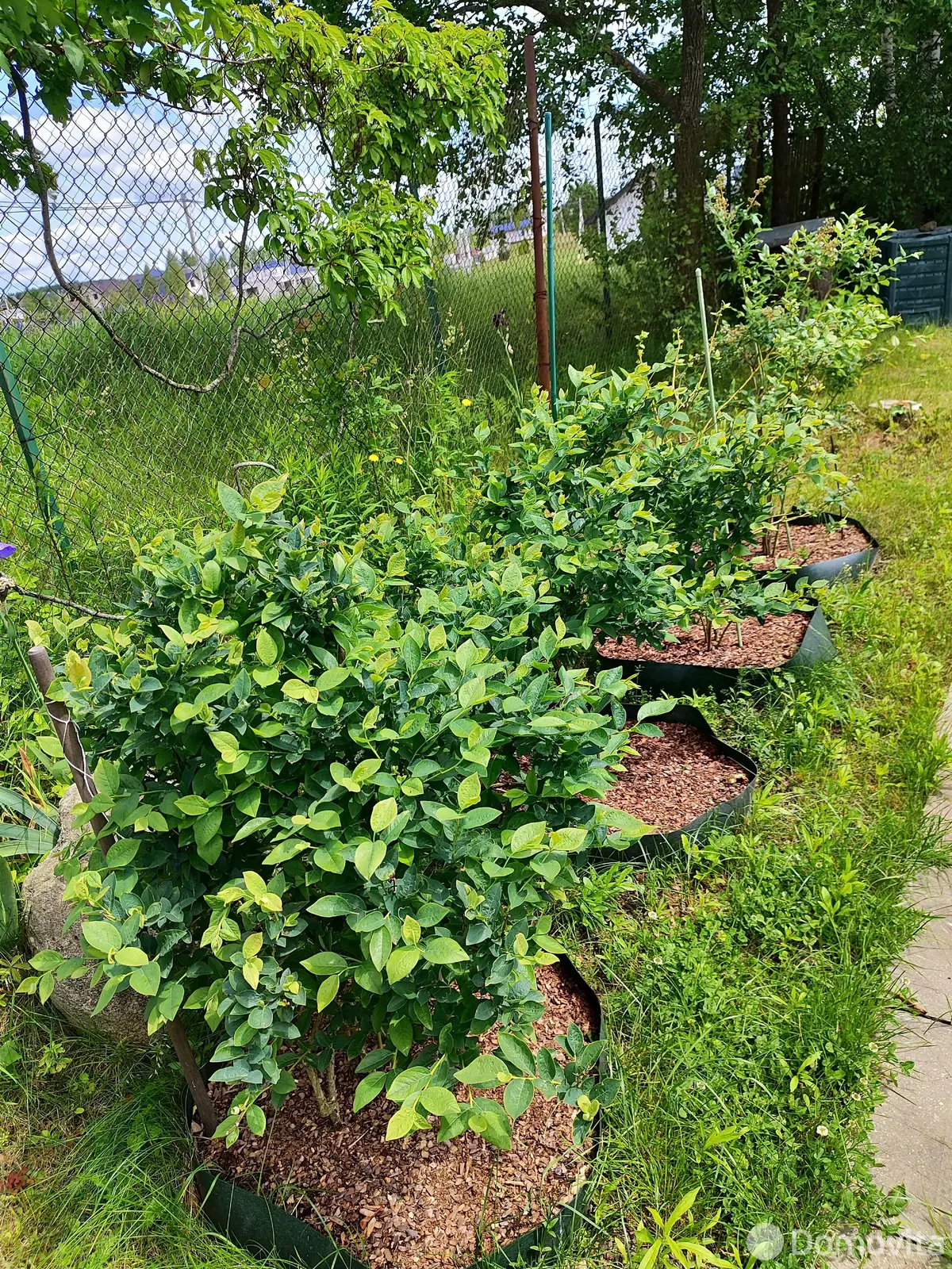 Продажа 2-этажной дачи в Волна-2001 Минская область, 37900USD, код 183275 - фото 24