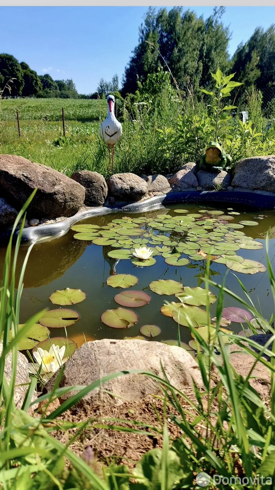 коттедж, Жилевщина, от собственника