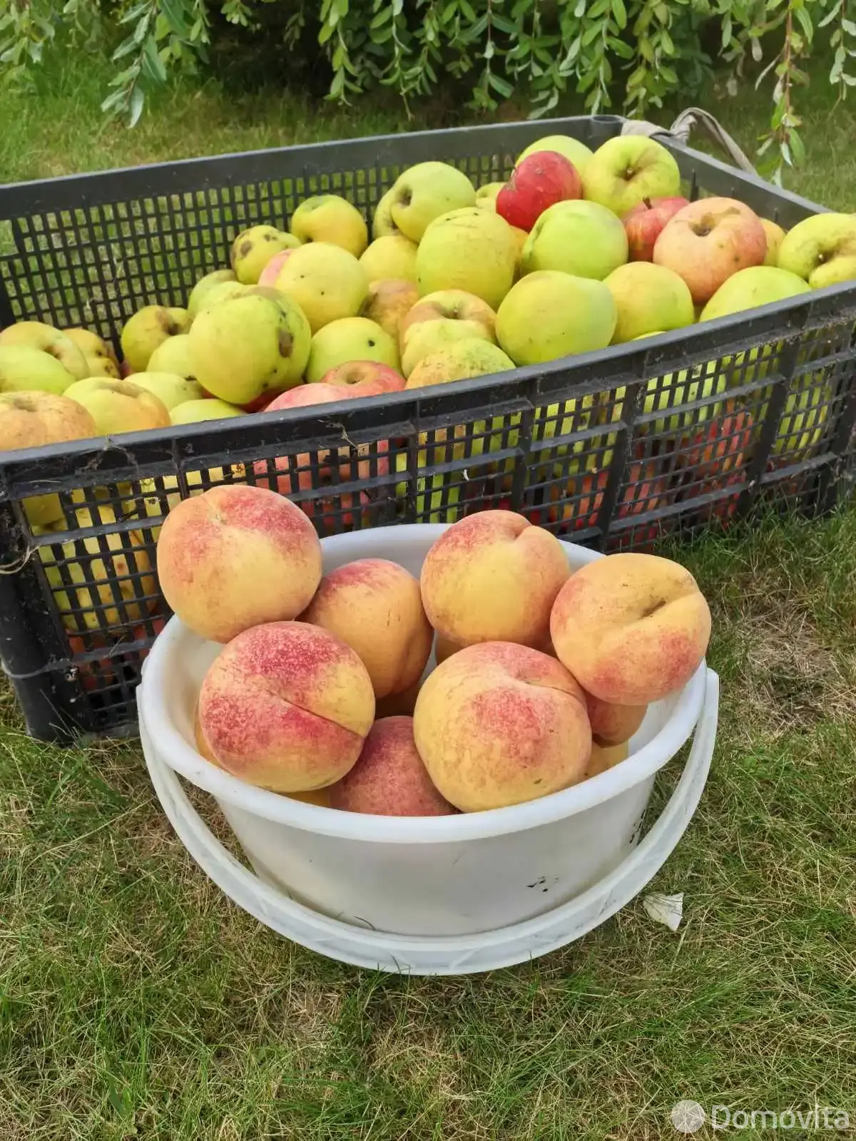 участок, Калюжки, - лучшее предложение