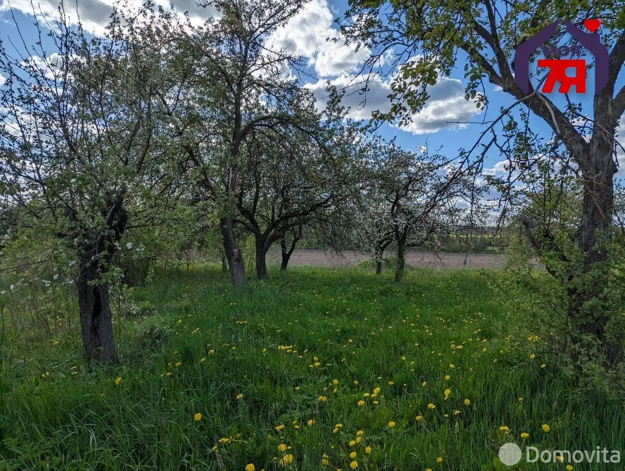 дом, Карпиловка, ул. Центральная, стоимость продажи 99 291 р.