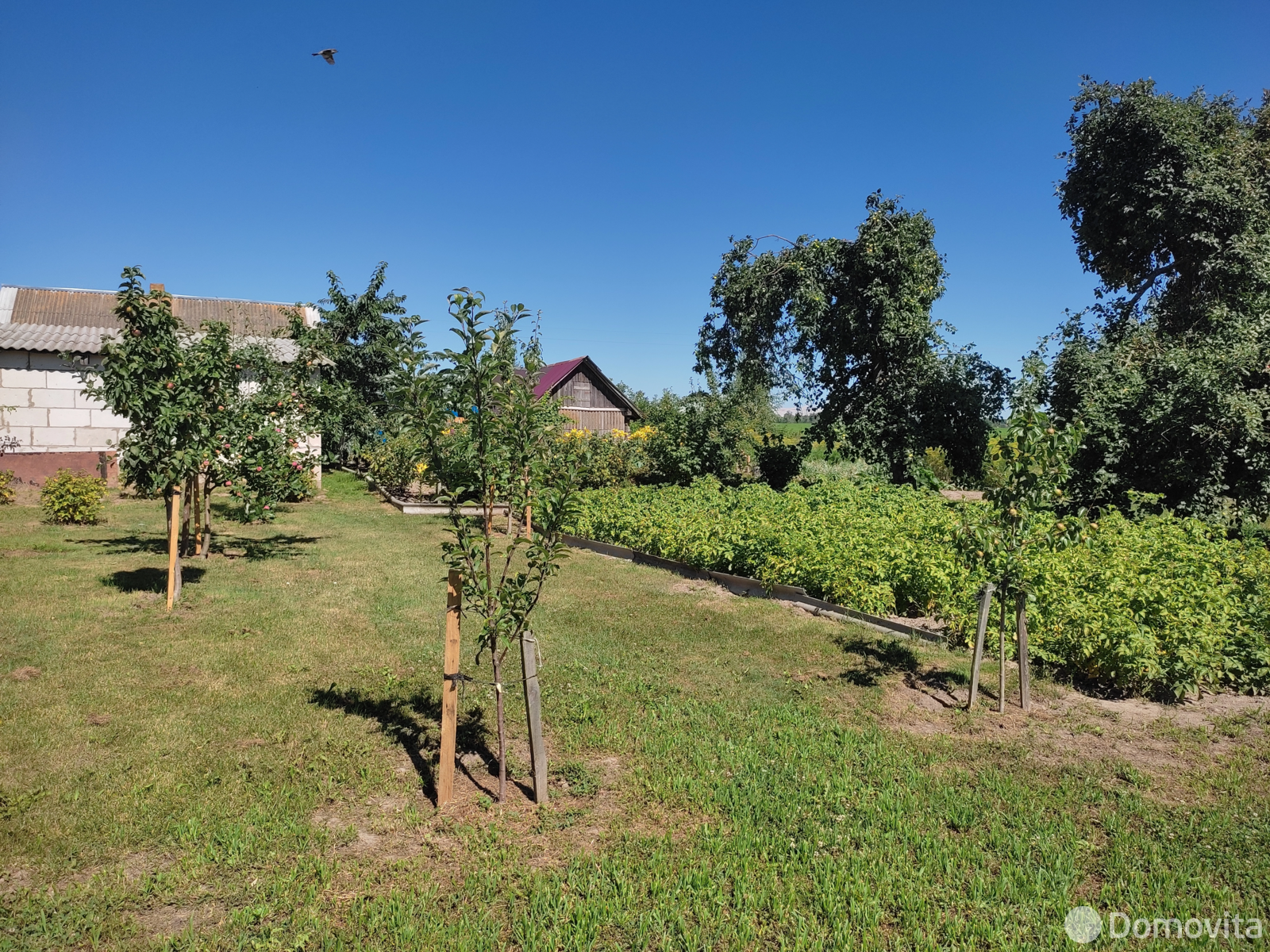 Купить 1-этажную дачу в Подгае Минская область, 9000USD, код 184121 - фото 29