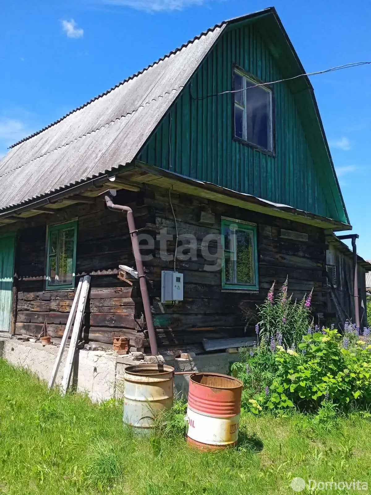 дача, Борщевник, 