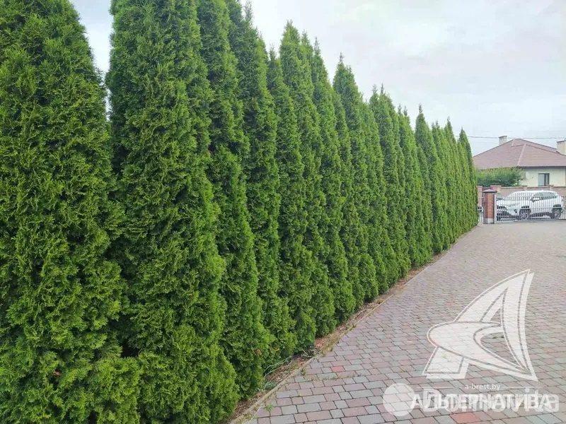 коттедж, Брест, 