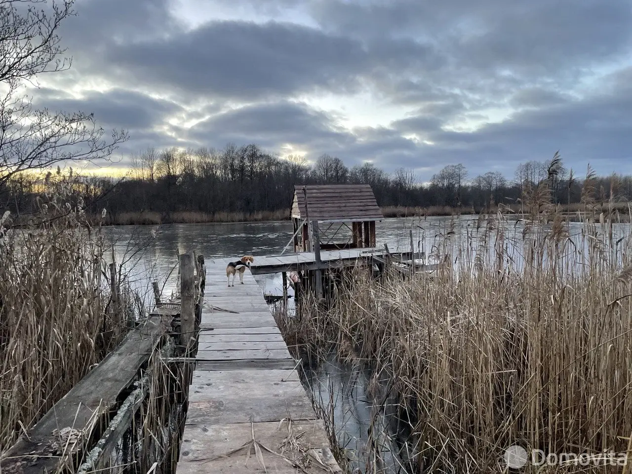 Аренда коттеджа Агроусадьба в Хвощево на сутки в Хвощево , 300BYN, код 1286 - фото 24