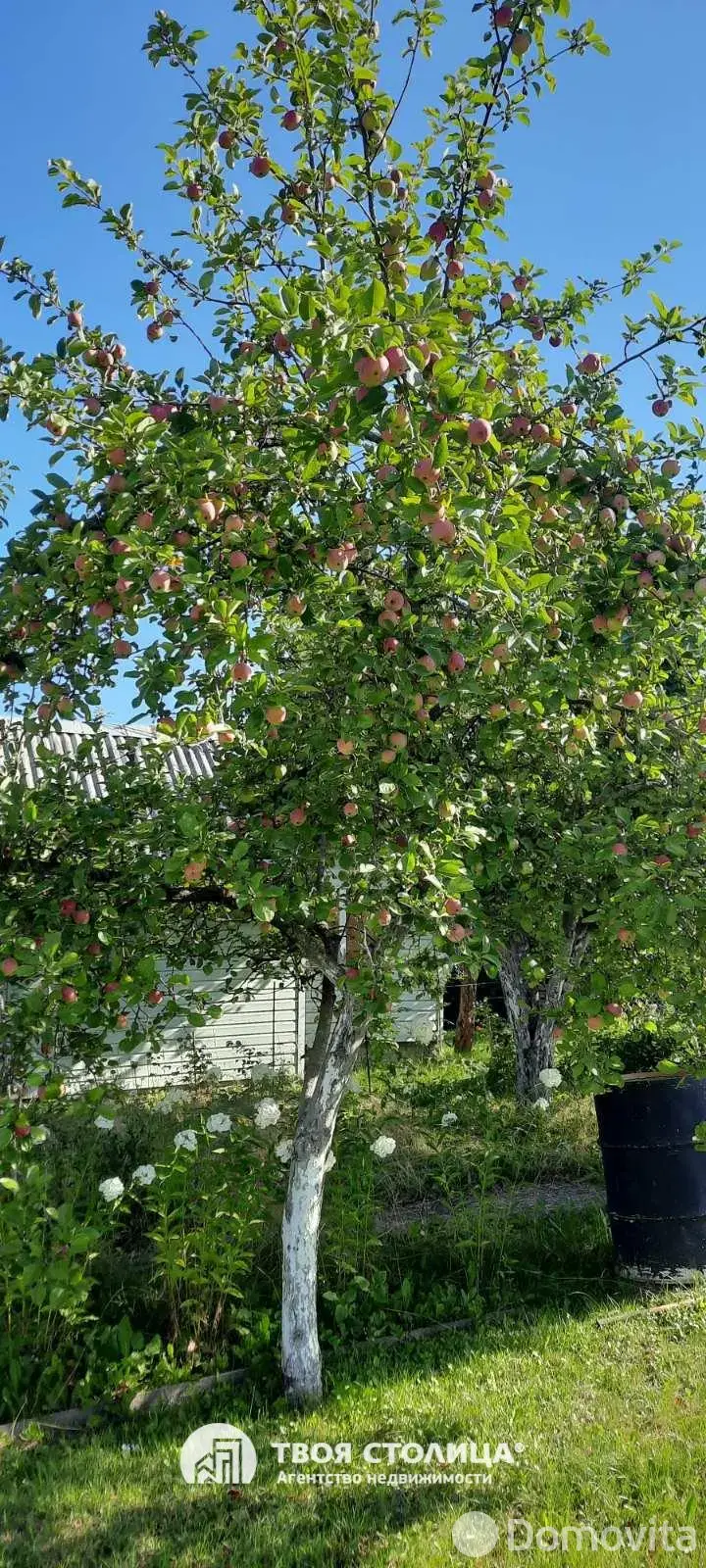 дача, Золотой колосок, - лучшее предложение