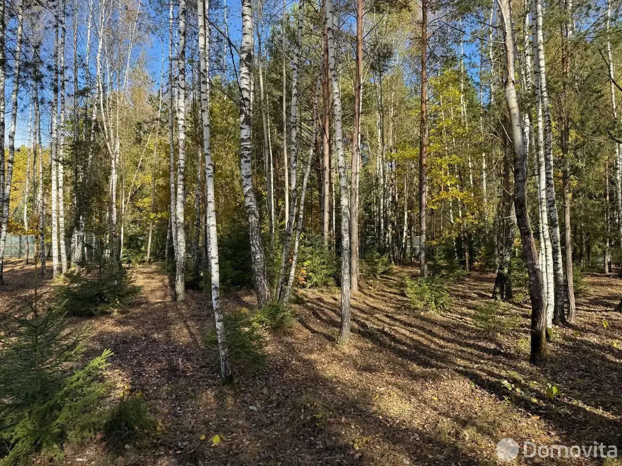 Стоимость продажи участка, Колодищи, ул. Алмазная