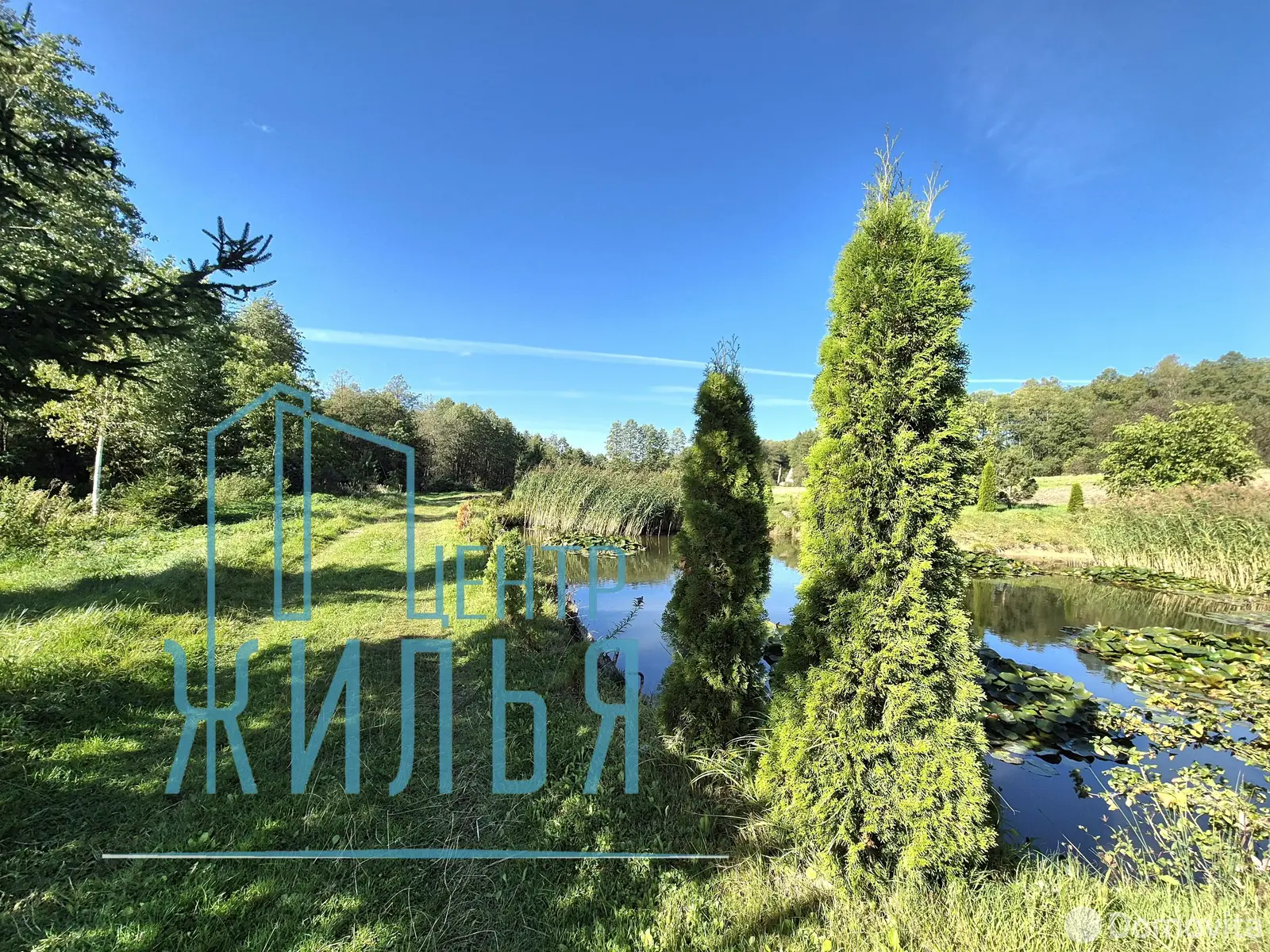 Купить земельный участок, 15 соток, Воловичёвцы, Гродненская область, 18000USD, код 571081 - фото 13