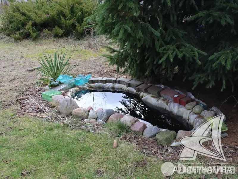 Продажа 2-этажной дачи в Здоровье 2008 Брестская область, 17000USD, код 181271 - фото 18