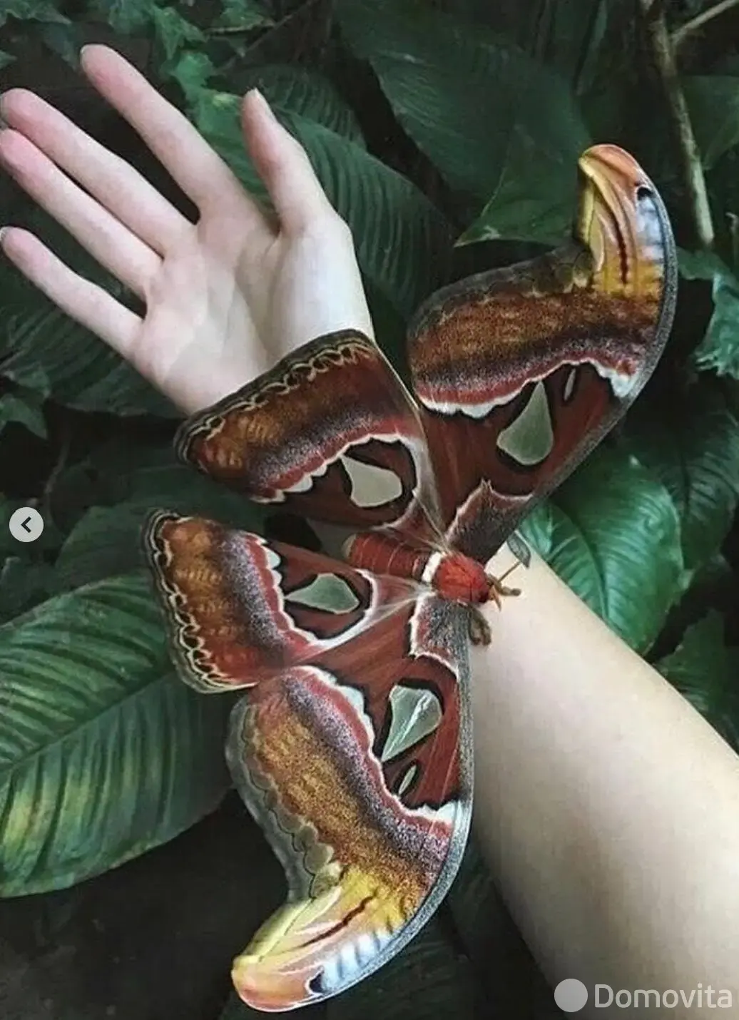 купить торговый объект, Минск, ул. Кирилла Туровского, д. 16