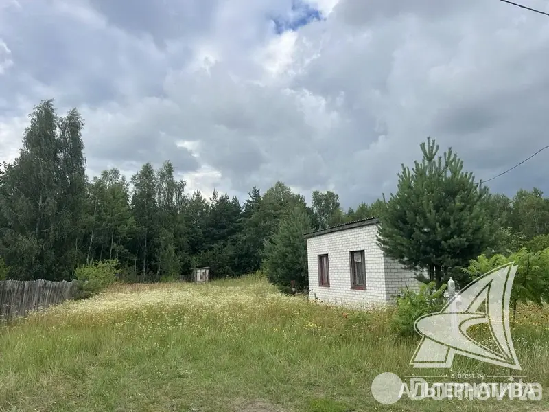 дача, Армеец-3, , стоимость продажи 81 444 р.