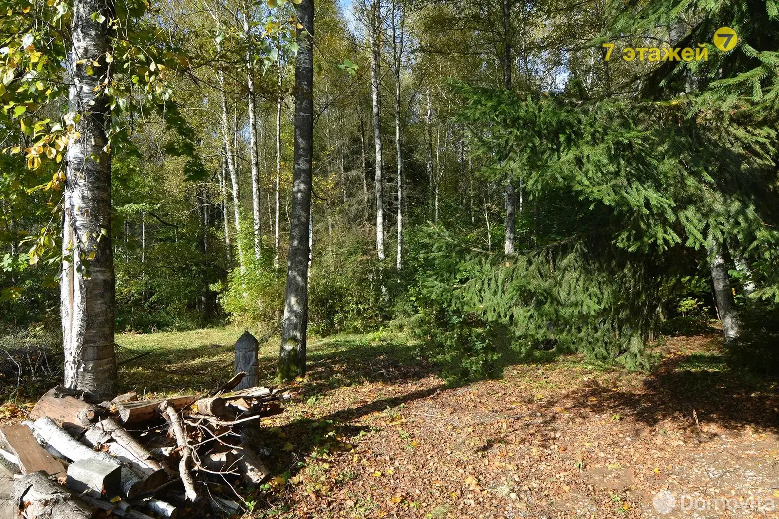 Продажа 2-этажной дачи в Сосны-Сад Минская область, 78500USD, код 184335 - фото 24