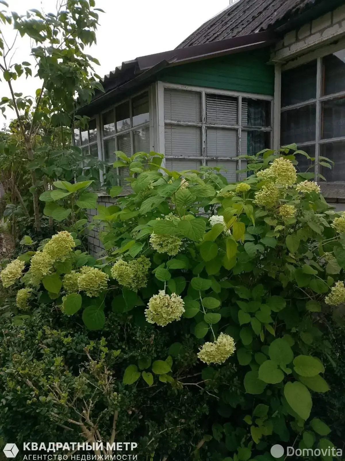 дача, Сосны-Сад, - лучшее предложение