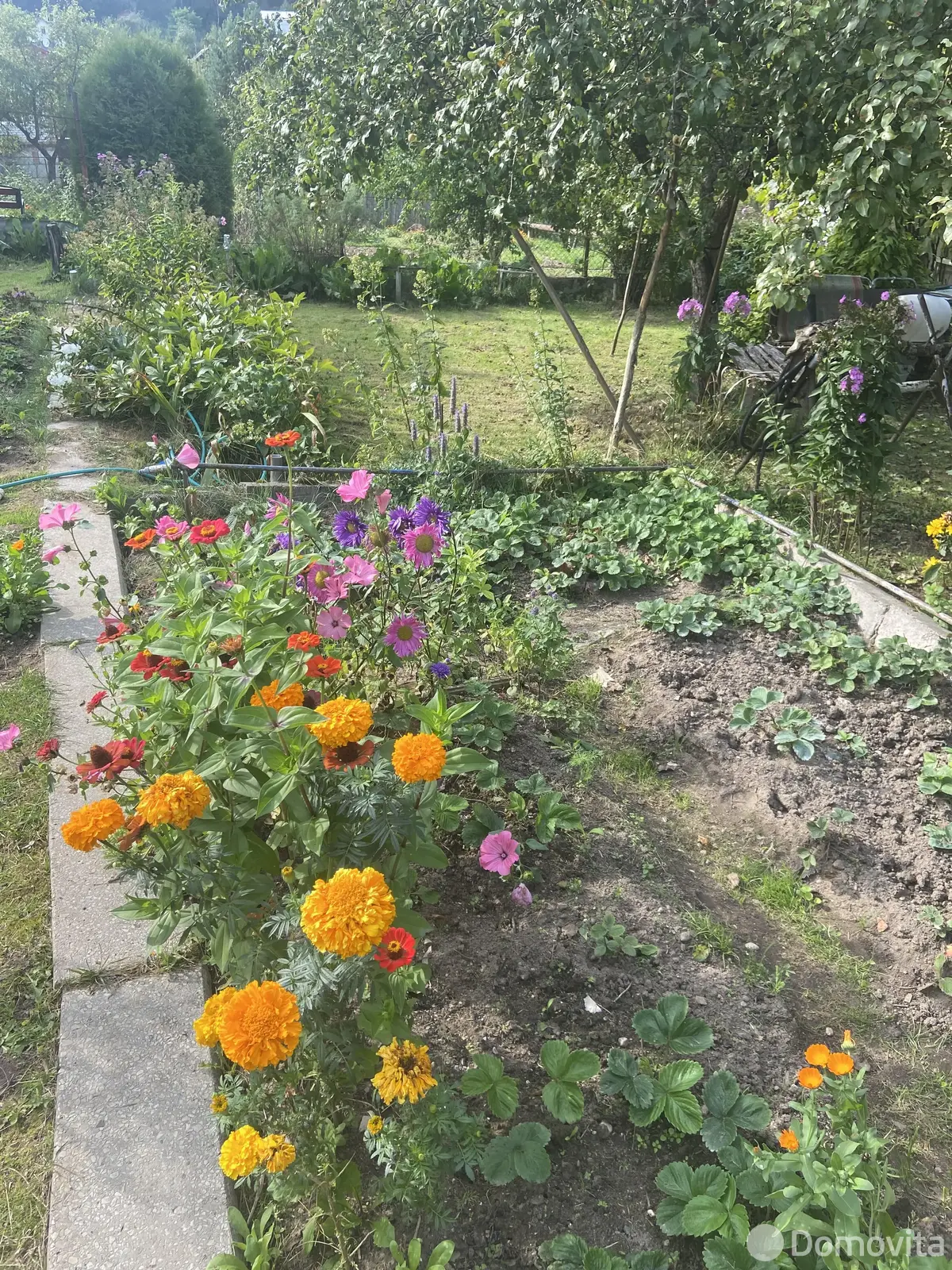 Продажа 1-этажной дачи в Вязань Минская область, 17000USD, код 184185 - фото 16