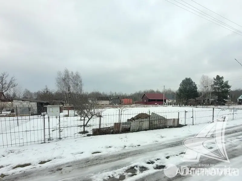 Стоимость продажи участка, Золотой корень,