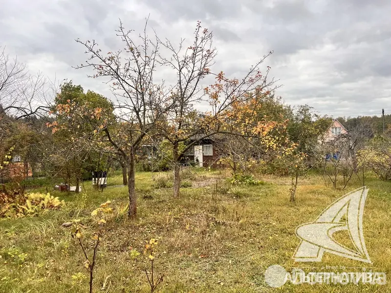 Купить земельный участок, 4.99 соток, Турист-2, Брестская область, 15600USD, код 571578 - фото 14