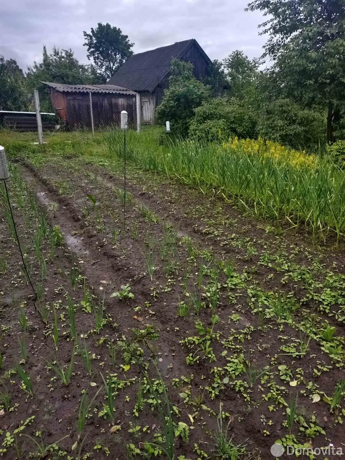 дача, Красный Дар, 