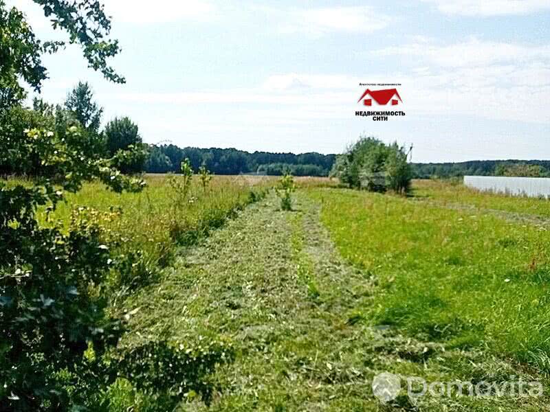 Купить земельный участок, 25 соток, Чижевичи, Минская область, 10500USD - фото 3