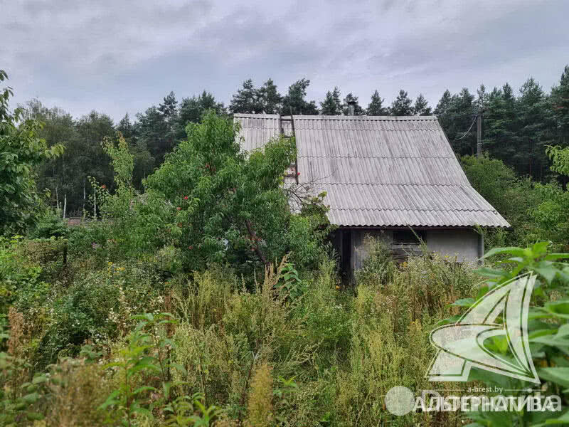 Продажа 1-этажной дачи в Березовая роща-87 Брестская область, 13500USD, код 179148 - фото 6