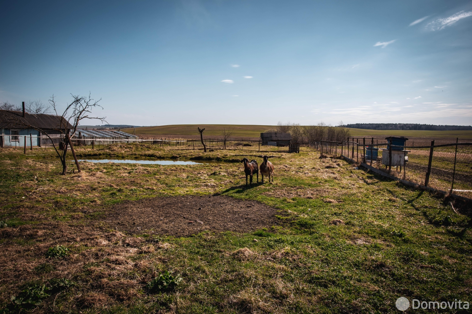 Купить земельный участок, 33.05 соток, Казеково, Минская область, 26500USD, код 571778 - фото 11