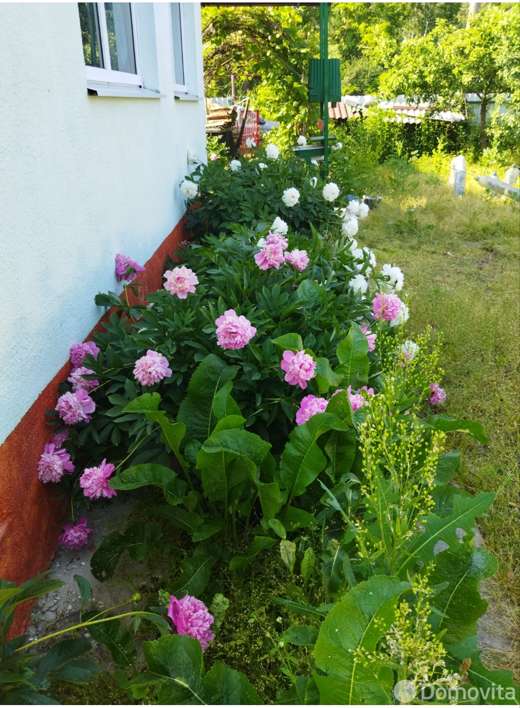 продажа дачи, Старобин, 