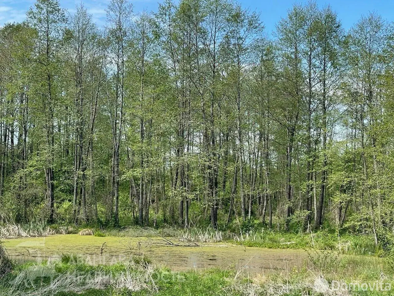 купить дом, Нарейки, ул. Центральная