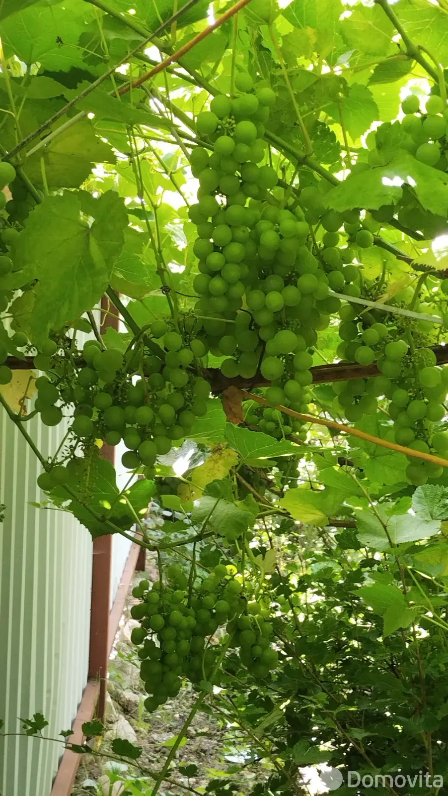 продажа дачи, Связист-88, 