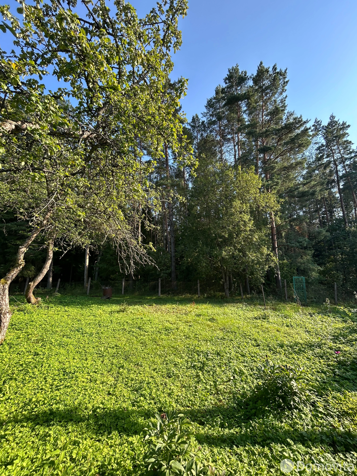 участок, Лесная Поляна-Крыжовка,