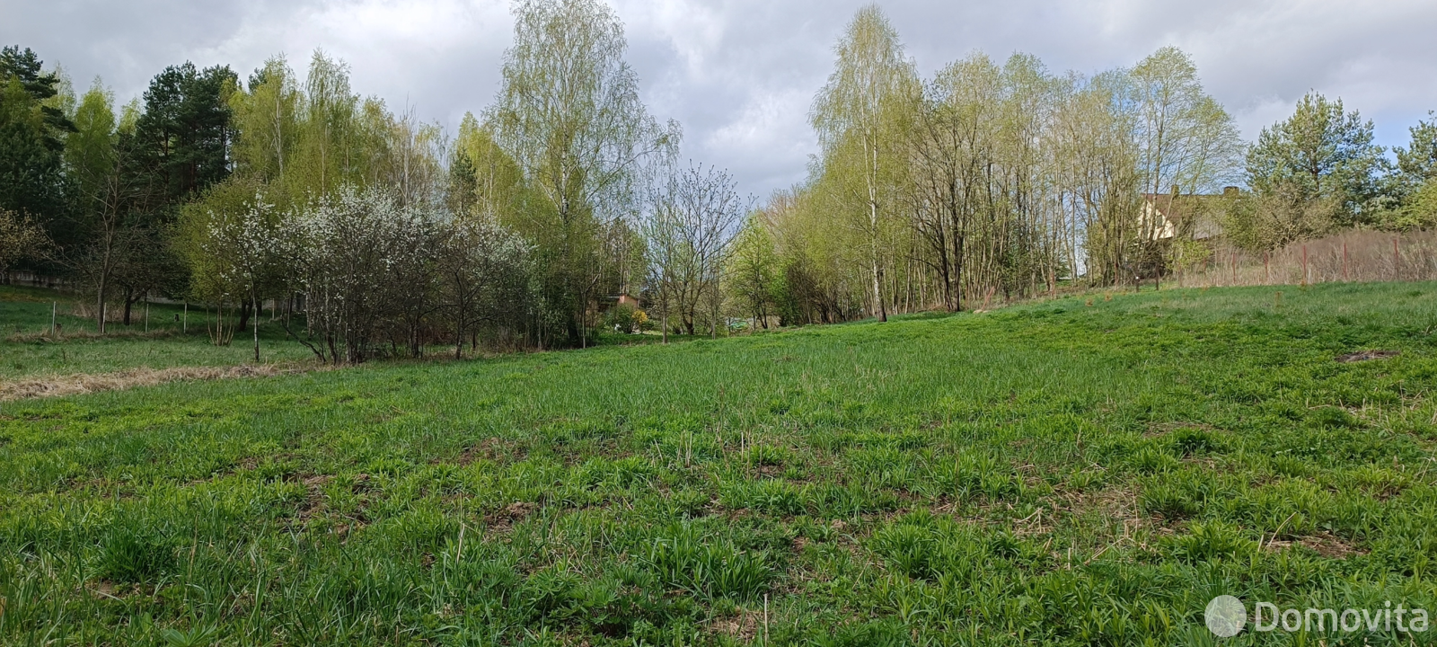 участок, Марковщина, ул. Центральная 