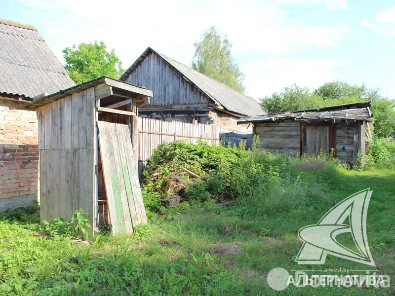 Купить земельный участок, 24.72 соток, Ставище, Брестская область, 10000USD, код 568697 - фото 13