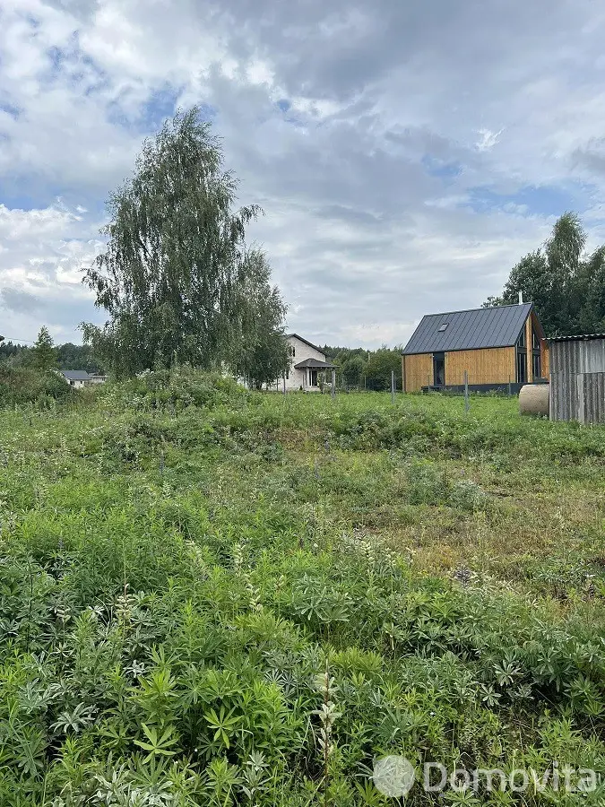 участок, Птичь-2,