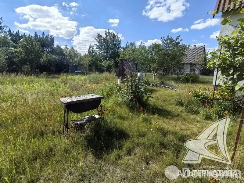 Купить 2-этажную дачу в Бресте Брестская область, 117600BYN, код 186250 - фото 34