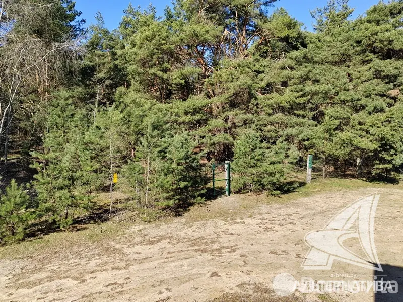 Купить 2-этажную дачу в Вымпел УВД Брестская область, 130000USD, код 176776 - фото 27