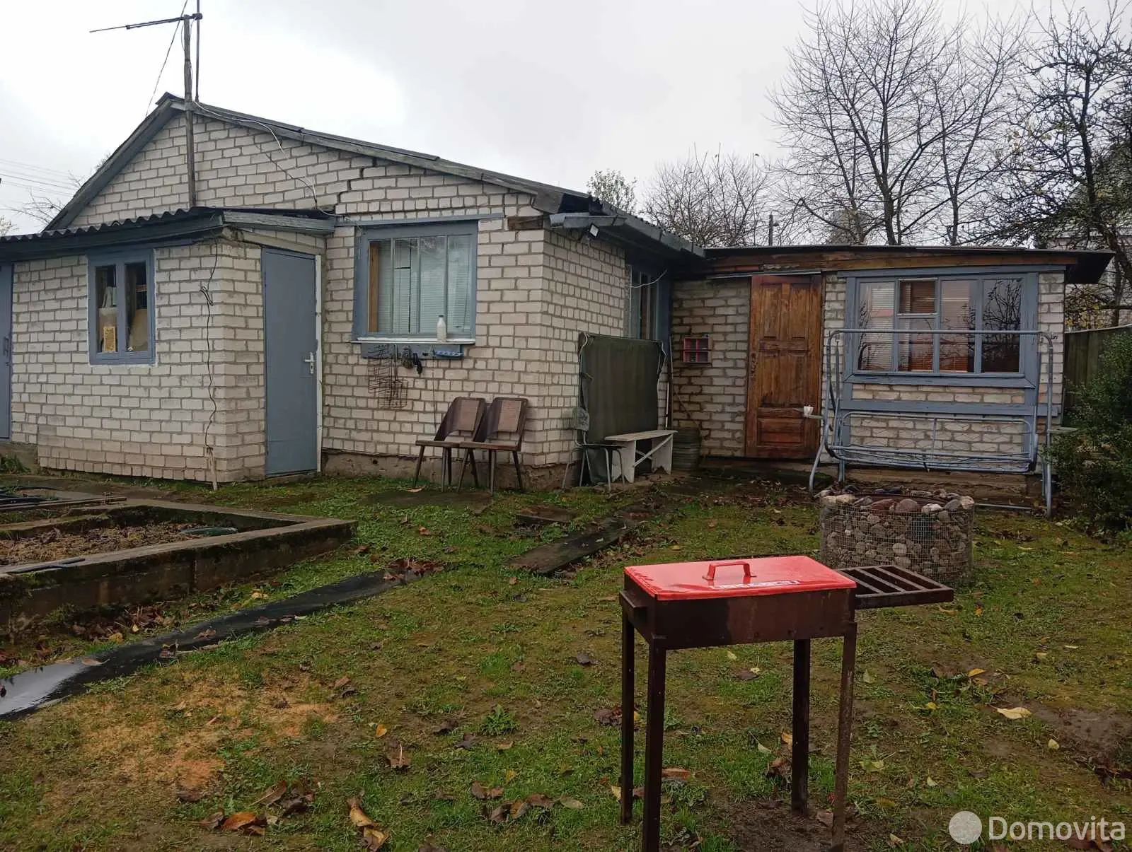 дача, Тюльпан, 