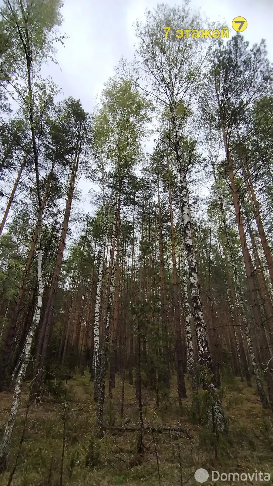 Продажа 2-этажной дачи в Строитель-35 Минская область, 11900USD, код 182703 - фото 17