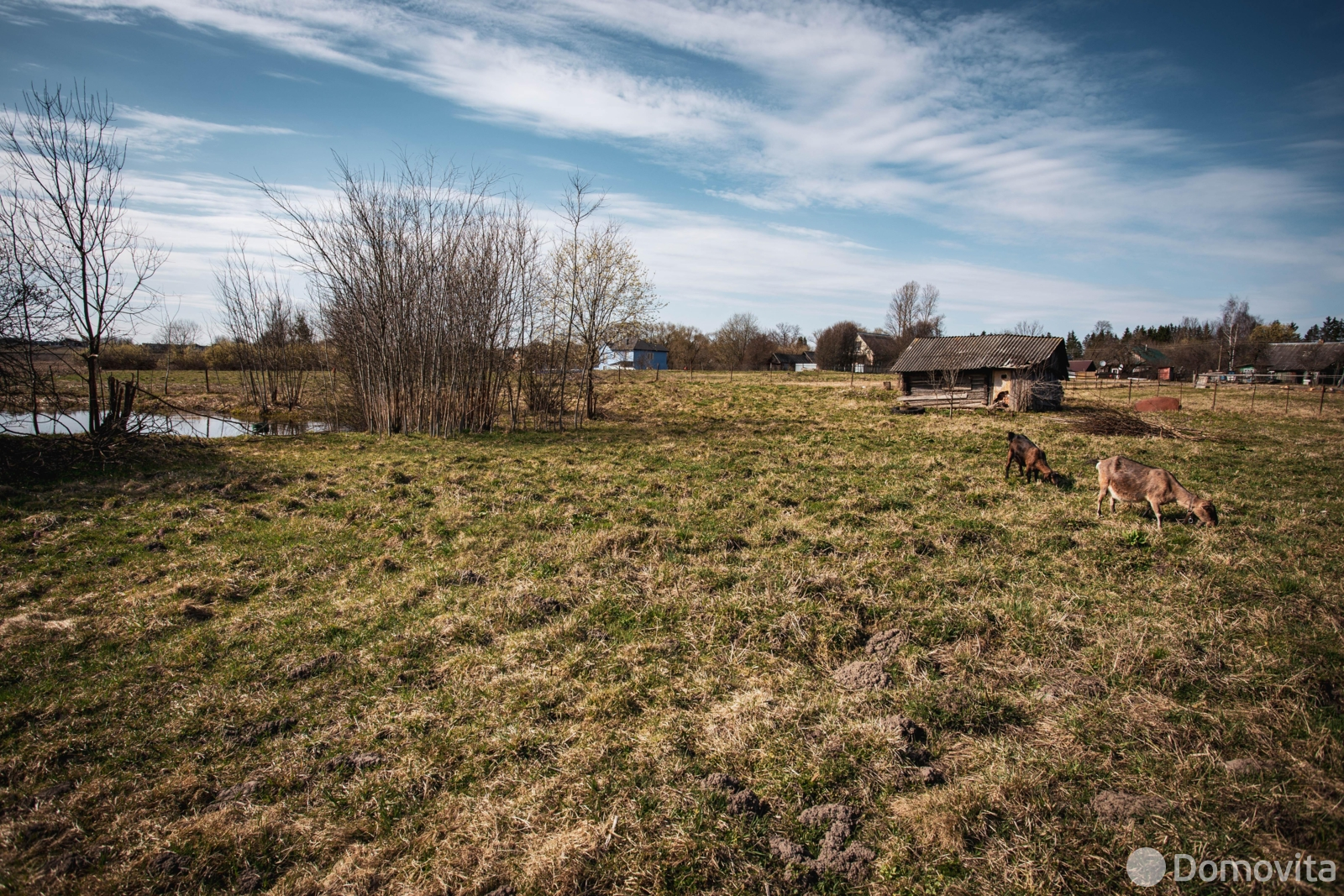 Купить земельный участок, 20.95 соток, Казеково, Минская область, 26500USD, код 571780 - фото 12