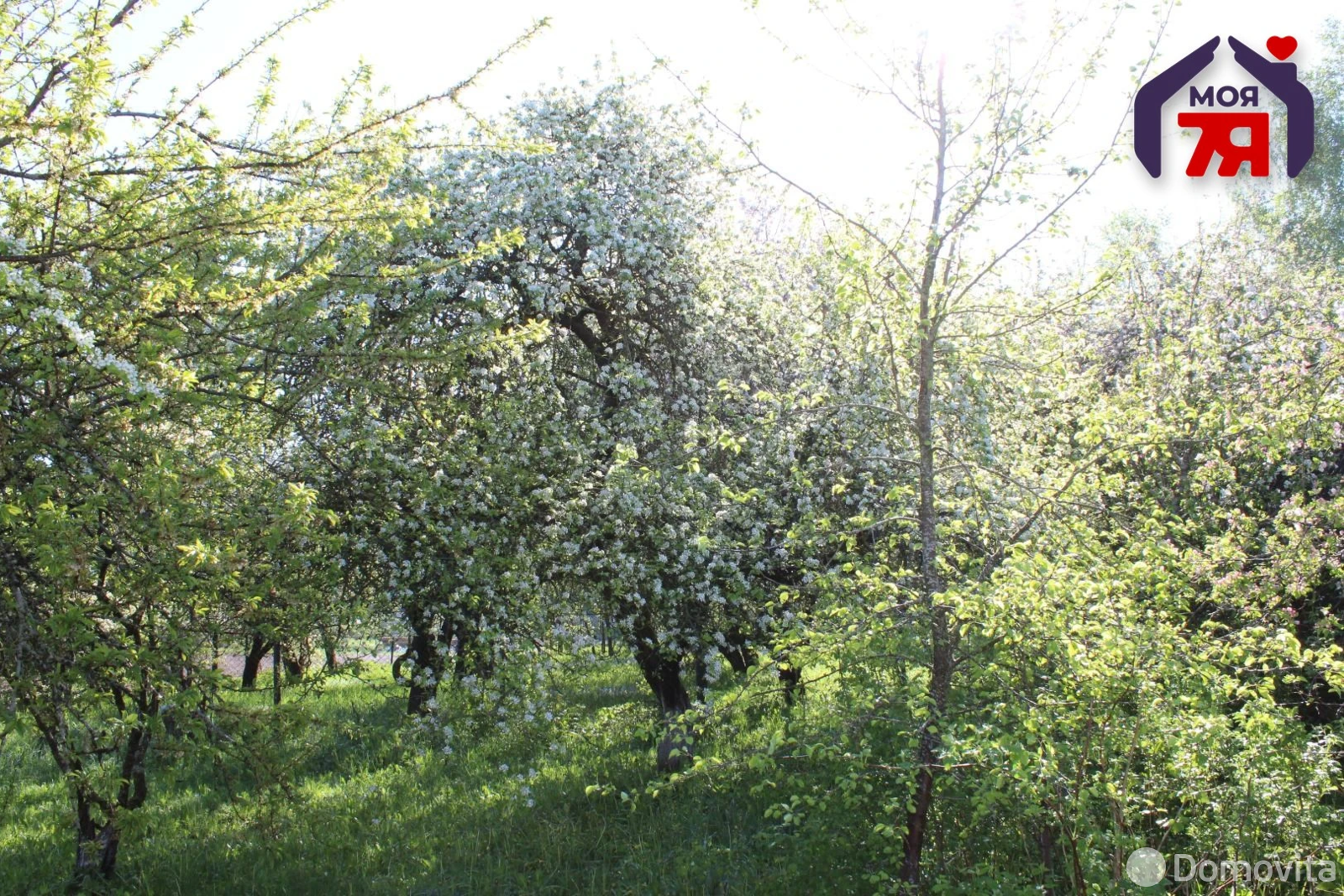 продажа коттеджа, Алекшицы, ул. Центральная