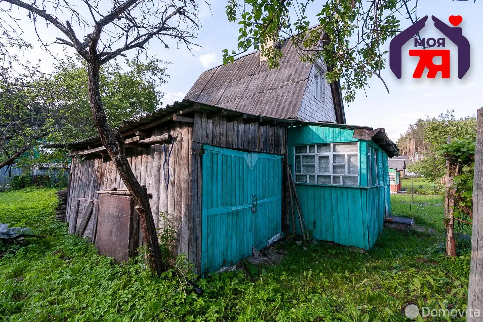 дача, Зенит-Кардон, 
