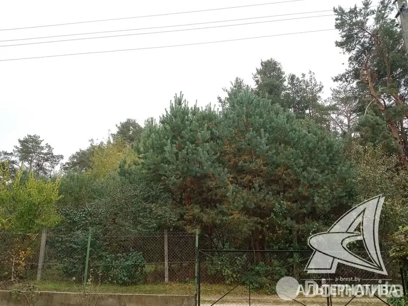 Купить 2-этажную дачу в Мара Брестская область, 31500USD, код 185101 - фото 19