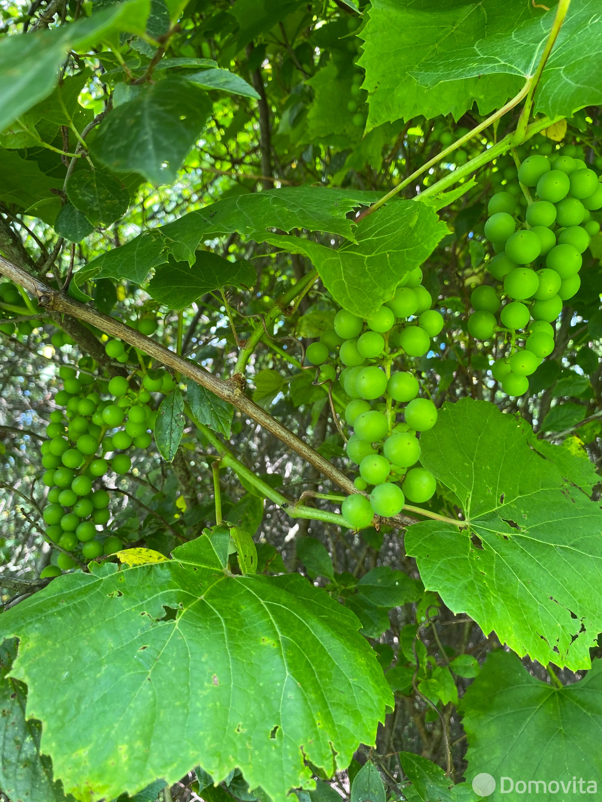 продажа дома, Туленка, 