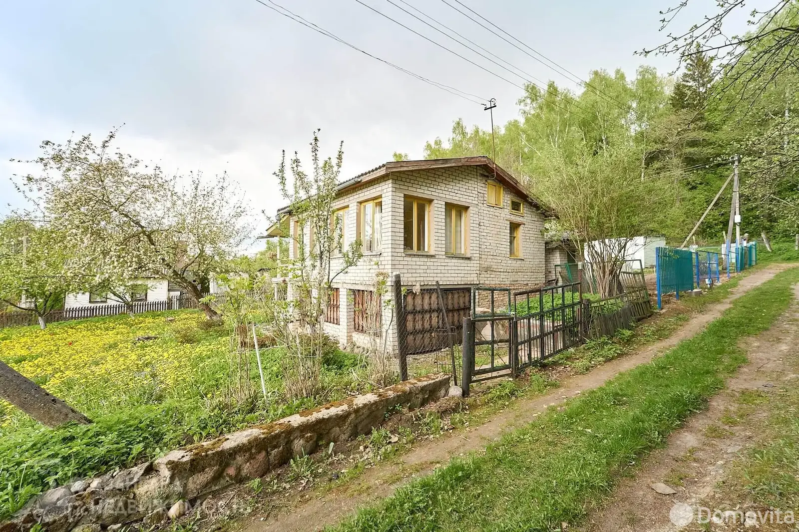 дача, Ромашка Соломореченская, 